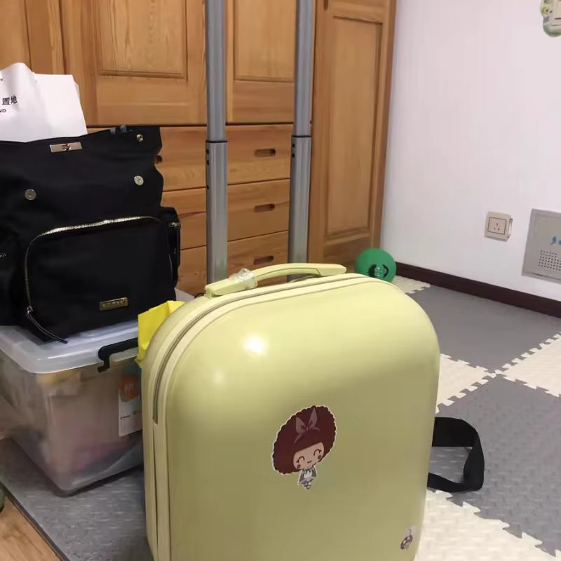 Valise Légère de Style Japonais pour Femme, Bagage de 20 Pouces, Mot de Passe Muet, Interrupteur Sac