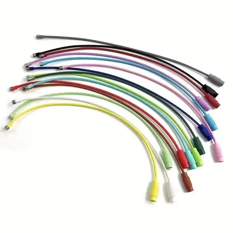 Clip d'étiquette de bagage en fil d'acier inoxydable coloré, 10 pièces, Durable et facile à installe