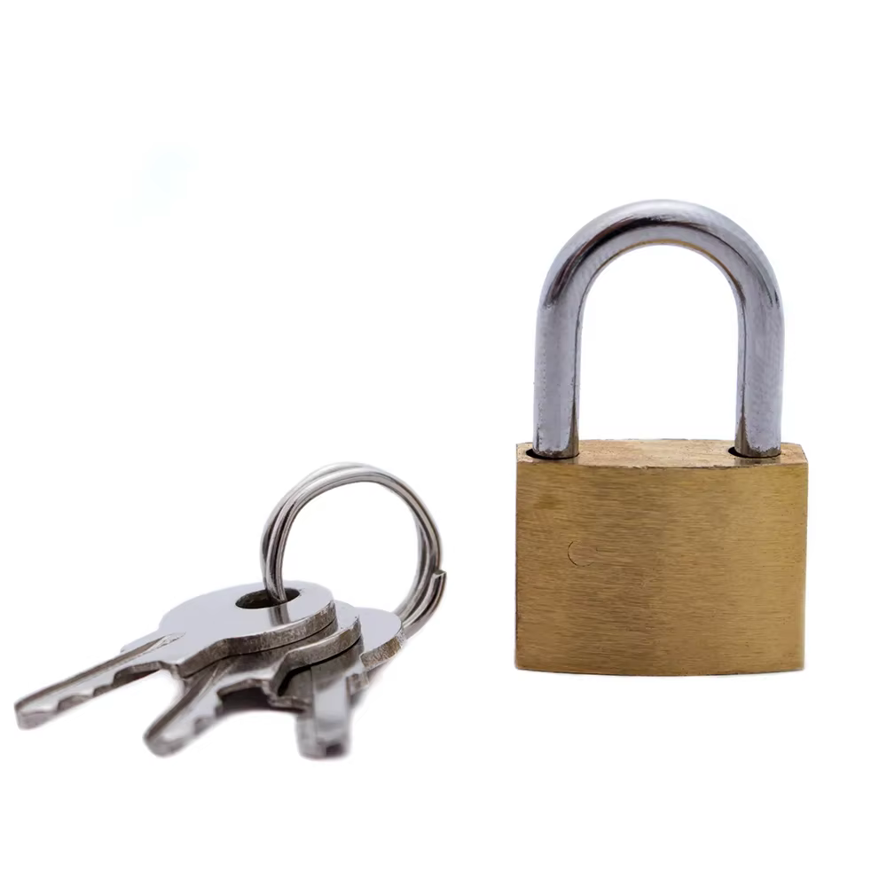 Petites cadenas en cuivre de 20mm, petites serrures pour sac à dos de voyage, fixation rétractable e