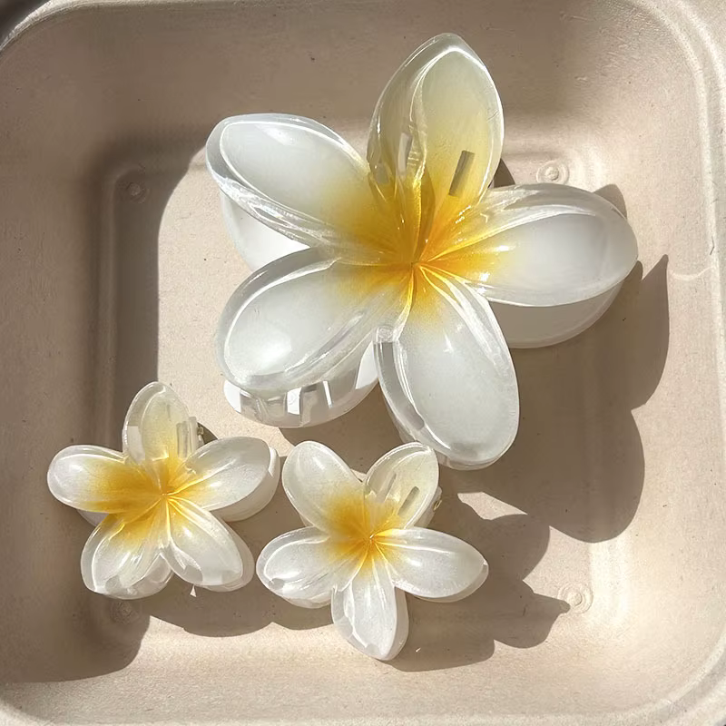 Pince à cheveux en forme de fleur hawaïenne, couvre-chef à griffes, épingle à cheveux en acrylique d