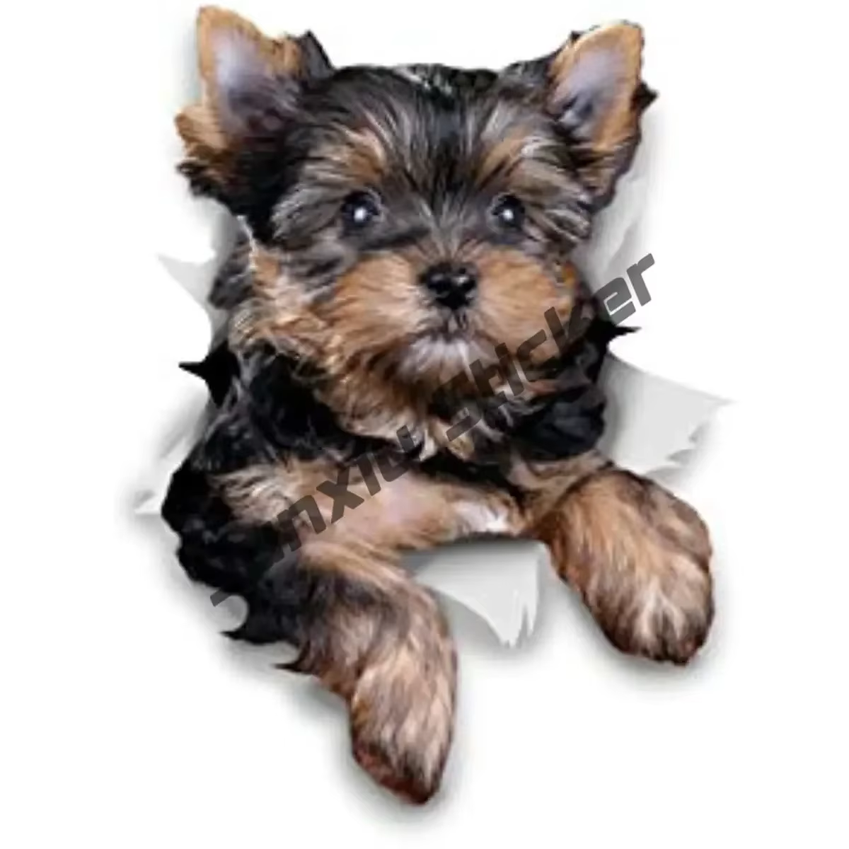Autocollants 3D pour chien Yorkshire Terrier, mignons, résistants aux intempéries, accessoires extér