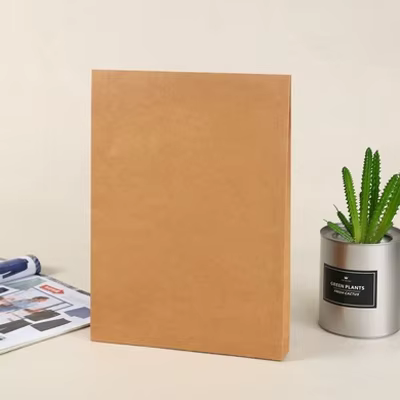 30 pièces sac en papier kraft sac d'archive personnalisé automne et hiver vêtements emballage T-shir