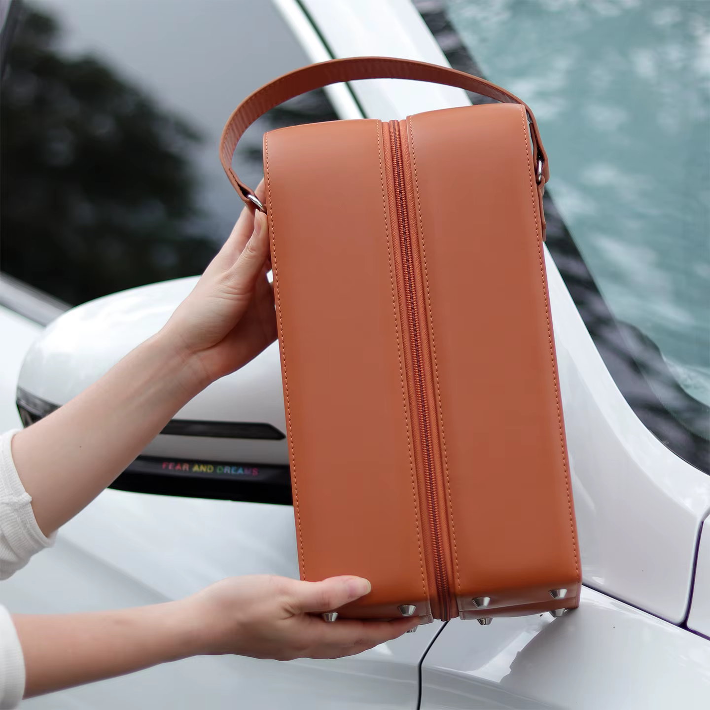 Sac cadeau élégant, fourre-tout à double fermeture éclair pour bouteille, sac de transport de style
