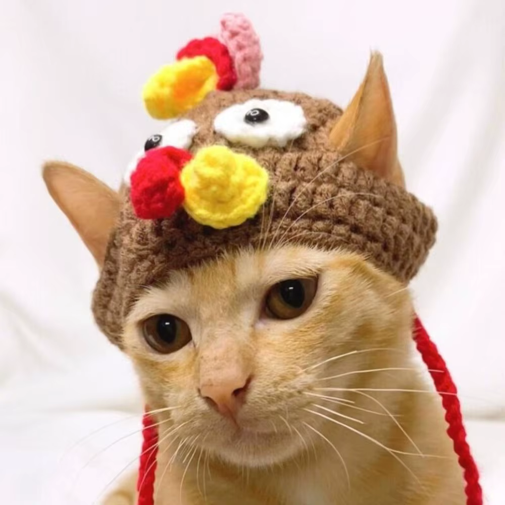 Accessoires pour chat, chapeau de dinde de dessin animé, élastique réglable, couvre-chef de Cosplay,