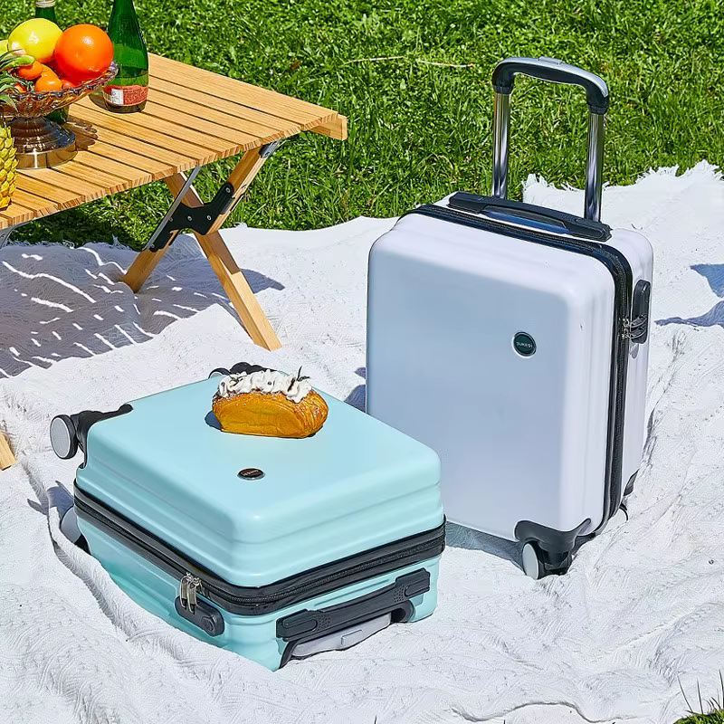 Petit compartiment à bagages pour voyage aérien