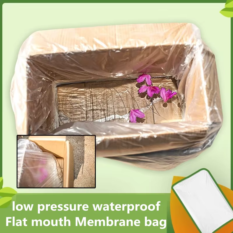 Sac en plastique Transparent de grande taille